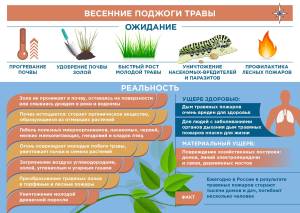 Весенние поджоги травы - ожидание и реальность